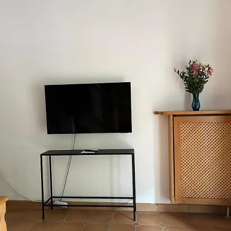 Seidl Violine